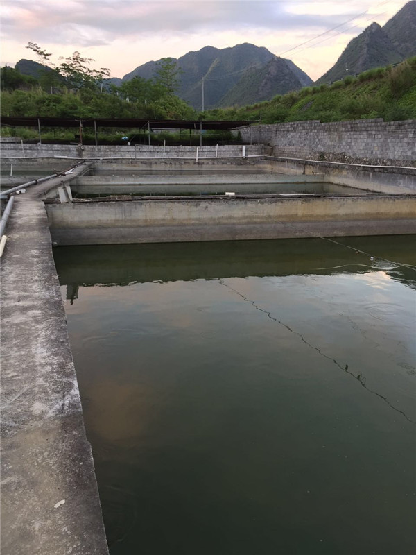 孵化基地 (10)